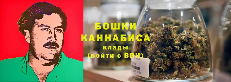 Конопля Ganja  Ревда 